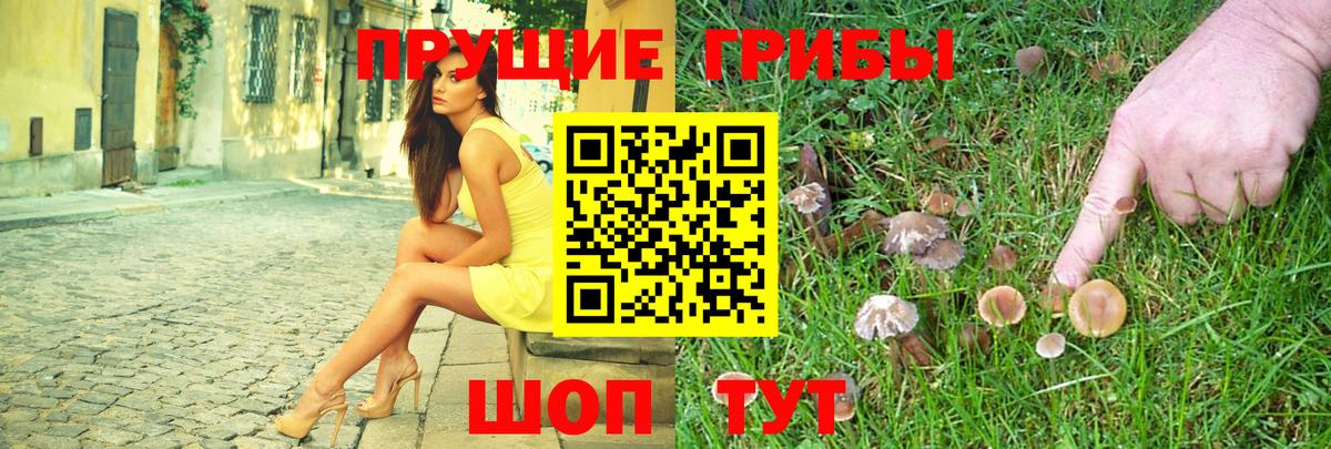 Галлюциногенные грибы Magic Shrooms Владивосток