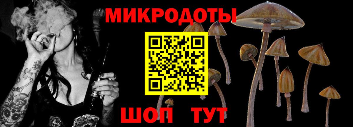 Галлюциногенные грибы GOLDEN TEACHER  Вход с VPN  Владивосток 